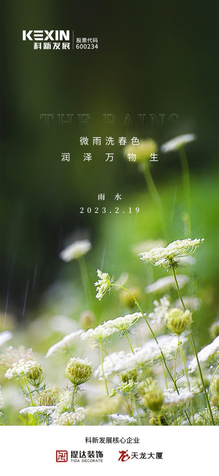 雨水0219.jpg