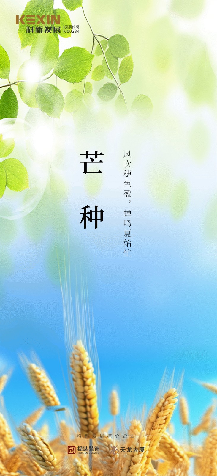芒种0006.6.jpg