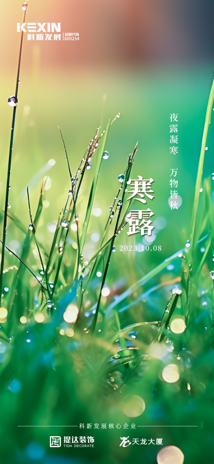 寒露01.jpg
